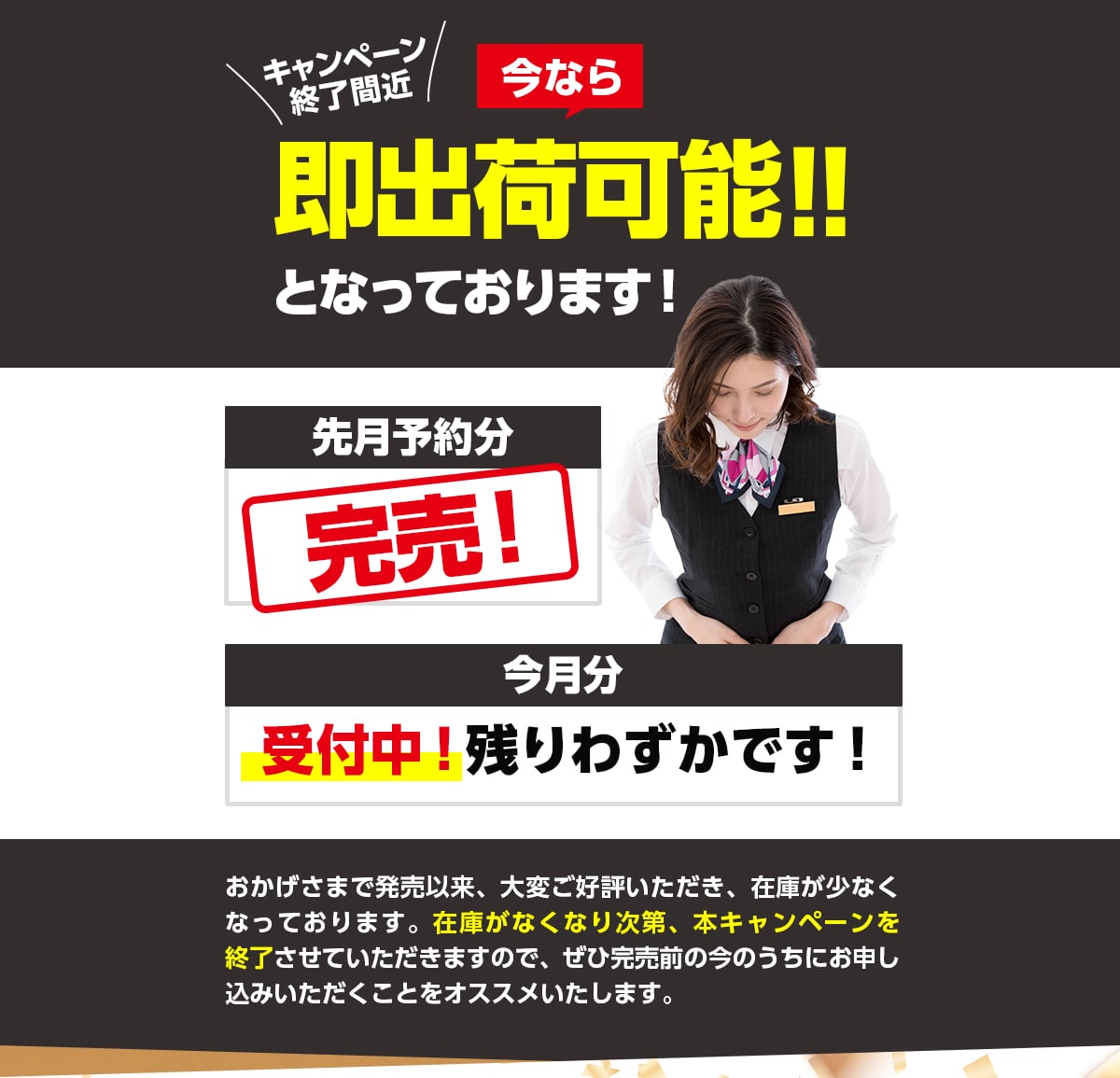 今なら即出荷可能