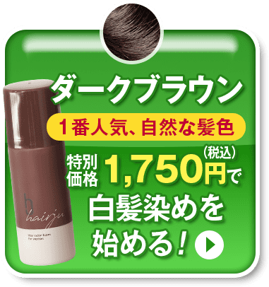 ダークブラウンボタン